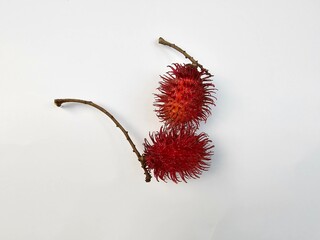 Rambutan Fruit on a White Background, closeup of rambutan on a white background