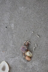 Ocean front with a sandbar and a fishing pier at Jacksonville Beach, Florida. 