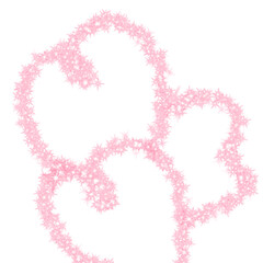 Pink flower 