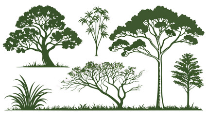 Obraz premium collection of trees