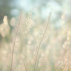 Ethereal Grass Blades in Soft Light Meadow Delicate Organic Nature Backdrop