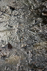 Frozen pond