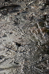 Frozen pond