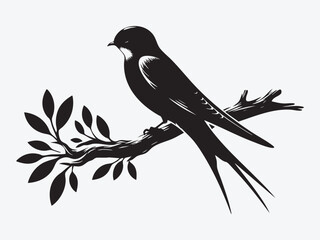 Swift Bird Silhouette Vector Illustration