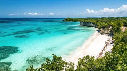 Tropical paradise featuring crystal clear turquoise water and white sand beaches