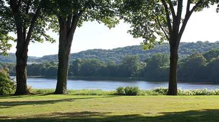 Obraz premium A gentle river flowing through a lush green meadow, with the bright sunlight filtering through the branches of tall trees, casting intricate shadows on the river. The meadow is full of fresh