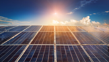 "Harnessing the Sun: Solar Panels Against a Clear Sky"