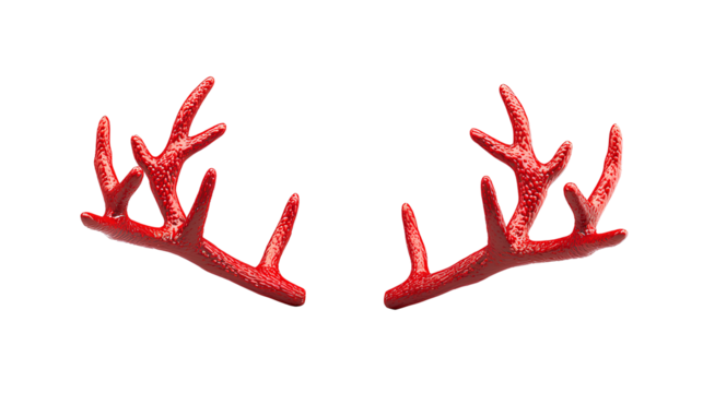 beautiful horns of the deer