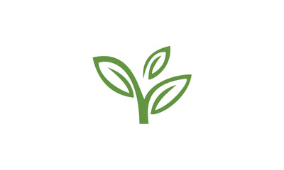 Obraz premium green leaf logo