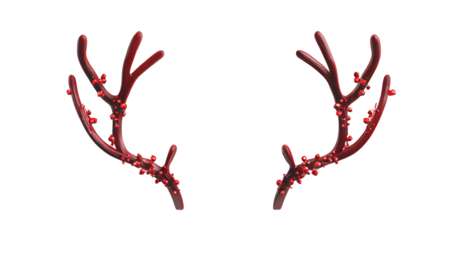 deer antler on transparent