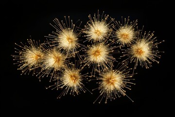 Fototapeta premium Festive golden fireworks on black background for New Year