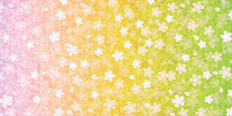 和柄　桜　春　背景