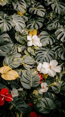 Lush Tropical Foliage  Monstera  Flowers  Greenery Wallpaper