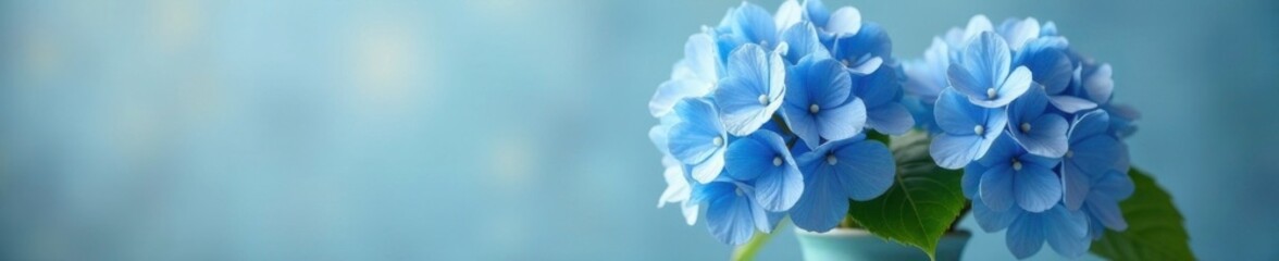 Delicate blue hydrangeas gently swaying in a vase, flowers, elegance, blossoms
