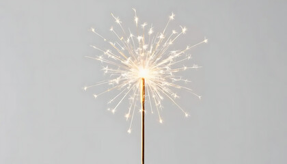 Bright Sparkler Light Celebration Photography