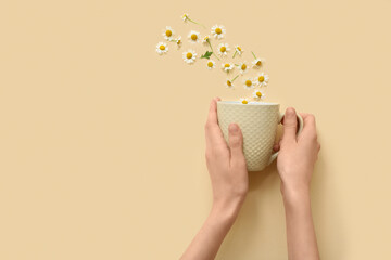 Female hands with cup and chamomile flowers on beige background. Top view