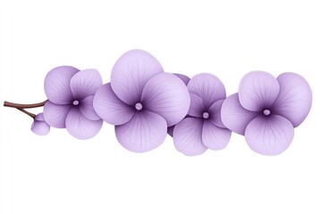 Obraz premium Beautiful lilac flowers arranged elegantly, showcasing delicate petals and vibrant colors against a white background