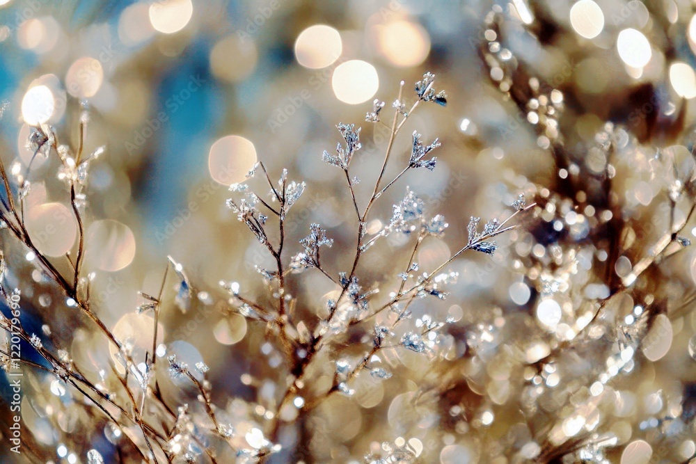 Aufkleber delicate frosty branches with sparkling bokeh background