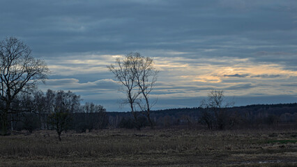 Wieczor w polu © Сергій Федчук