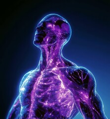 Luminous Human Anatomy Illustrating Vascular and Muscular System in a Futuristic Neon Style Against a Dark Background for Educational Use