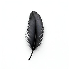 Single Black Feather: A solitary black feather rests gracefully against a minimalist backdrop, its intricate details and delicate curves drawing the eye. The image evokes a sense of elegance, mystery.