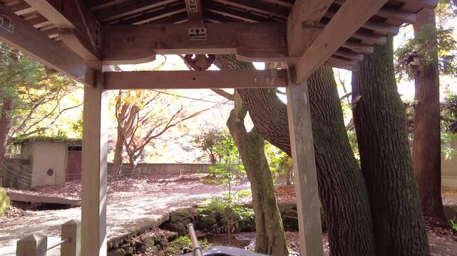 Video about the town of Kinrin LAke Yufuin Japan