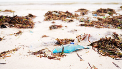 dead fish on a beach polluted by plastic bottles, concept of ocean conservation and water pollution, waves in the background
