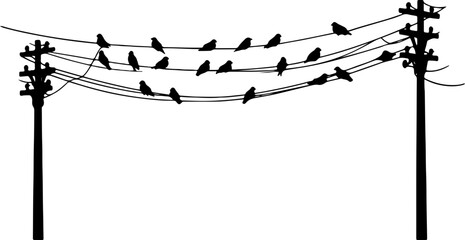 birds on power wires silhouette