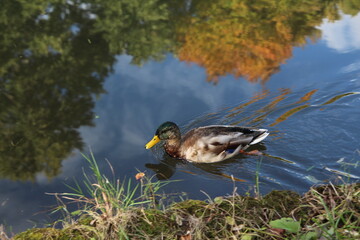Hokkaido TRIP 북해도 여행 홋카이도 