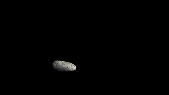 This is a video of a flat rock rolling and then stopping. This video, which adjusts the actual rock to stop motion, has an Arba value and is easy to edit.