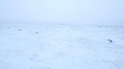 Obraz premium A soft and quiet morning sky with hues of pale blue blending gently into the white expanse, evoking the calmness of early dawn