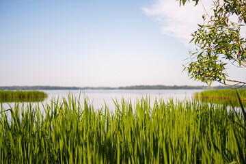 Fototapeta premium Images of a landscape with a river, blue sky.