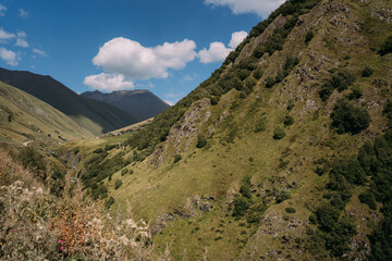 The mountainous summer landscape of the North Caucasus in Georgia. A mountain range against a bright blue sky with white clouds. The mountains are covered with abundant vegetation
