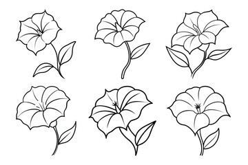 Morning Glory Flower line Icon set. Elegant Black Design