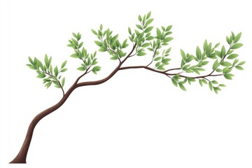 A vibrant green branch with lush leaves extending gracefully against a clean white backdrop