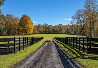 Fototapeta premium Serene Rural Landscape with a Gravel Pathway Surrounded by Black Fencing and Vibrant Trees Under a Clear Blue Sky in Autumn