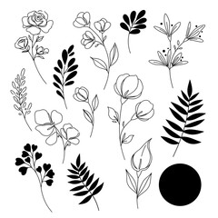 Minimalist line-art flowers and leaves in black and white for a chic, modern look
