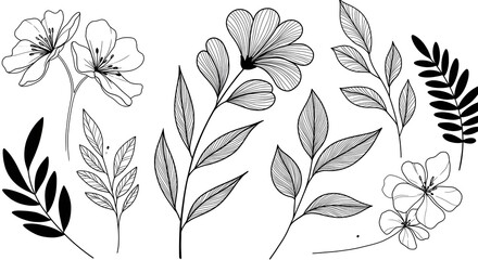 Obraz premium Minimalist line-art flowers and leaves in black and white for a chic, modern look