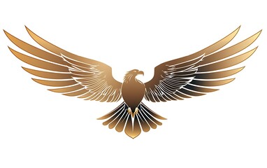 Fototapeta premium Golden eagle soaring with outstretched wings on white