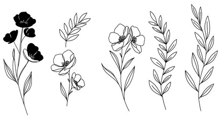 Minimalist line-art flowers and leaves in black and white for a chic, modern look