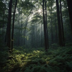 Obraz premium Describe a quiet, secluded clearing in the middle of a dense forest.