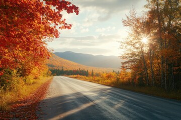 Fototapeta premium Scenic view of a peaceful road lined with fiery autumn leaves in the White Mountains, with sunlight streaming through the branches and illuminating the colorful landscape.