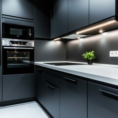 Fototapeta premium A modern black kitchen featuring sleek cabinetry, built-in appliances, and a small potted plant for a touch of greenery.