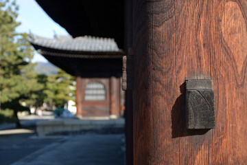 妙心寺　仏殿の柱と法堂　京都市右京区花園