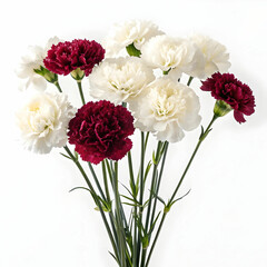 Fototapeta premium white elegant carnation bouquet on white background