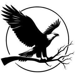 Silhouette of an eagle on a branch