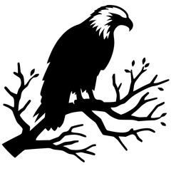 Silhouette of an eagle on a branch