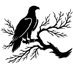 Silhouette of an eagle on a branch