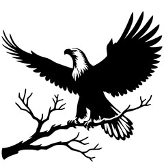 Silhouette of an eagle on a branch