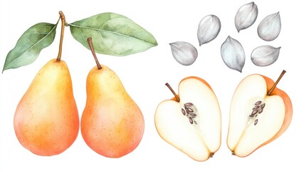 Two ripe pears with leaves, sliced in half to reveal seeds, accompanied by pear seeds on a white background